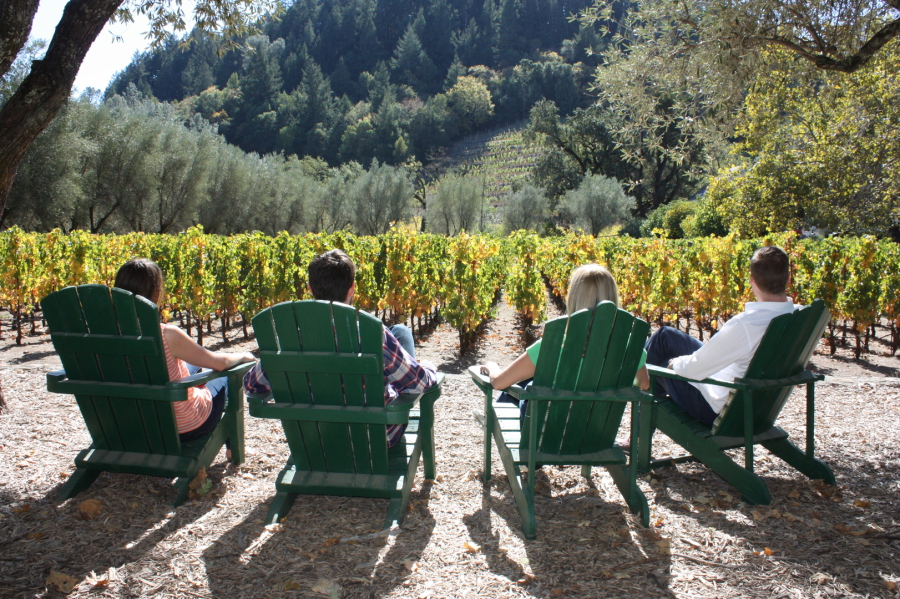 napa valley excursions & wine tours